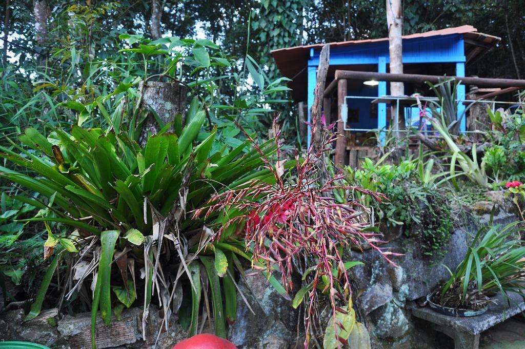 Pousada Ecologica Lua Bonita Do Nero Macacos  Eksteriør billede